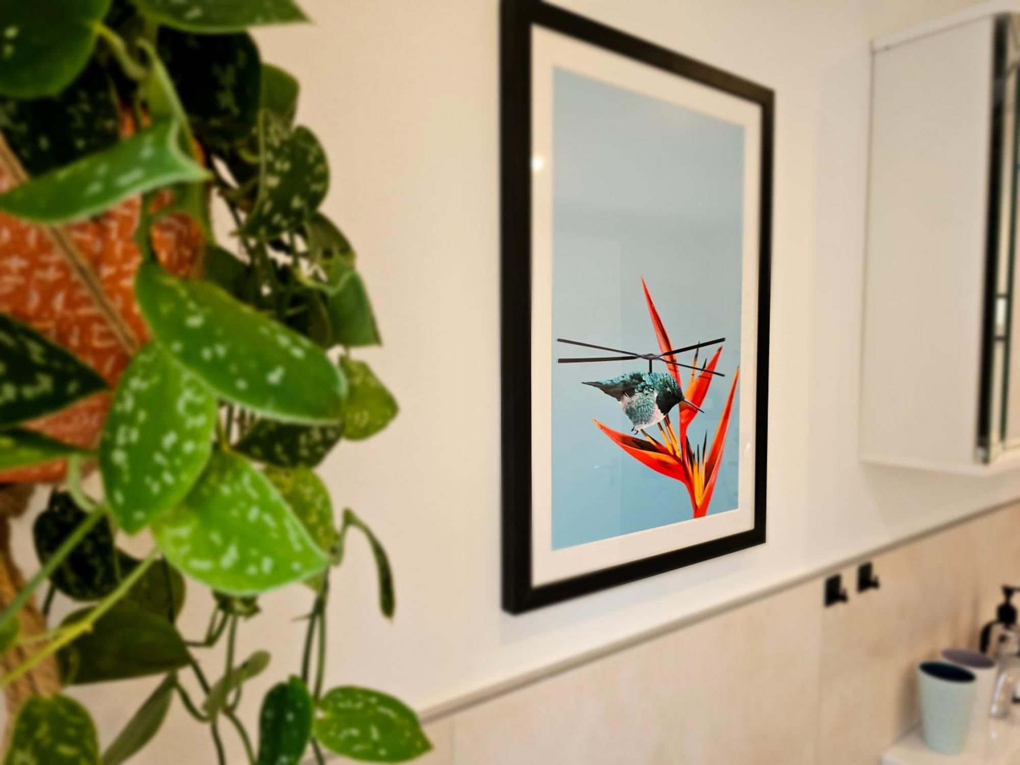 Kolibri - Design Maisonette - Nintendo Switch, Streaming, Bikestore, E-Wallbox Marburg Dış mekan fotoğraf