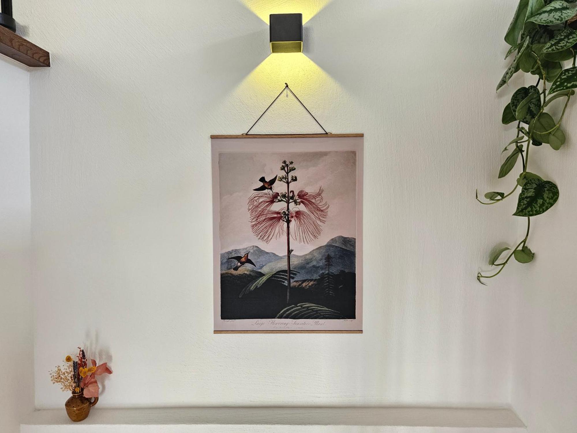 Kolibri - Design Maisonette - Nintendo Switch, Streaming, Bikestore, E-Wallbox Marburg Dış mekan fotoğraf